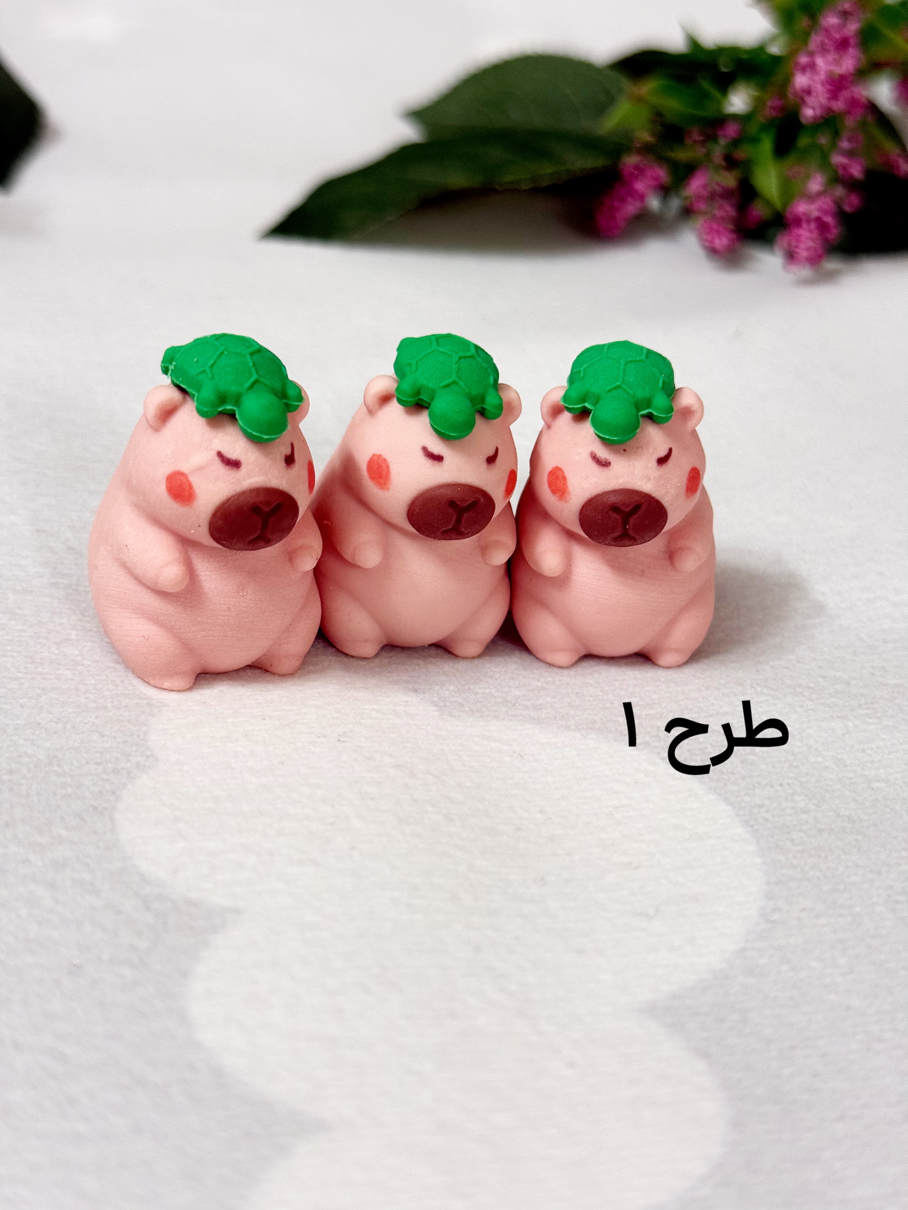 پاک کن کاپی بارا